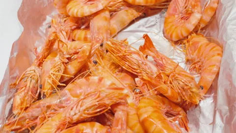 Close-up of fresh whole prawns at a seafood market, Cote d'Azur, France Stock-Footage 344801948