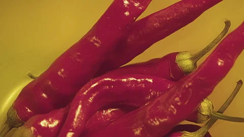 Close up of fresh whole red chilli peppers in a blue plastic bowl on a wooden Stock Footage 273558180