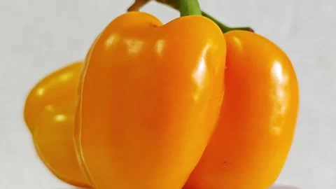 Close-up of fresh yellow bell peppers. Stock Footage 340938097