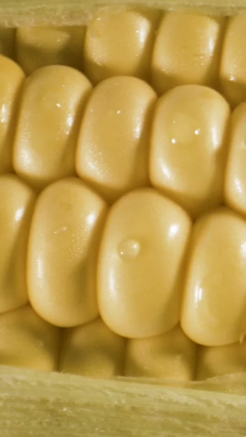 Close-up of fresh yellow corn kernels filling the frame Stock Footage 336443129