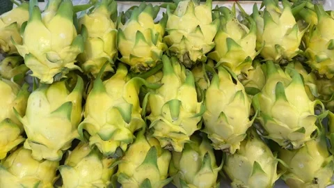 Close-up of fresh yellow dragon fruit stacked at a market Stock Footage 323778436