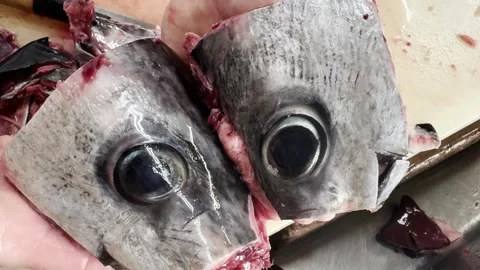 Close-up of fresh young bluefin tuna heads with big eyes, Japanese izakaya Stock Footage 339636835