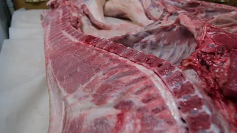 Close up of freshly butchered and split in half pig placed on table belly up 库存影片 255421316