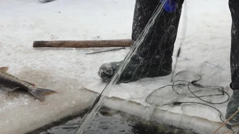 Close-up of a freshly caught fish tangled in a fishing net on a frozen surface Stock Footage 331039941