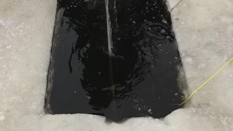 Close-up of a freshly caught fish tangled in a fishing net on a frozen surface 動画素材 331050619