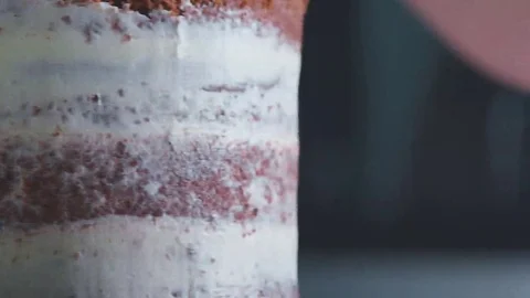 Close-up of freshly made chocolate cake. Side view: the layers of cake Video stock 69192010