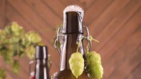 Close-up of a freshly opened beer bottle with foam spilling over the top. Rustic 스톡 동영상 311816806