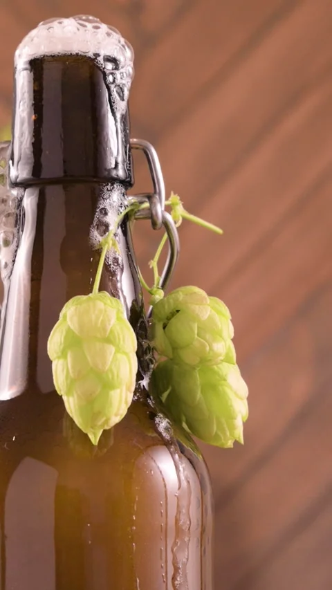 Close-up of a freshly opened beer bottle with foam spilling over the top. Rustic Stock Footage 311817156