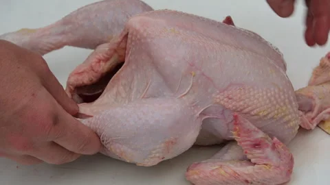 Close up of freshly processed broiler or chicken from organic back yard farm 스톡 동영상 250949836