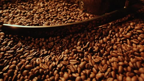 Close-up freshly roasted coffee beans mixing around on a cooling plate of an Stock Footage 258195119