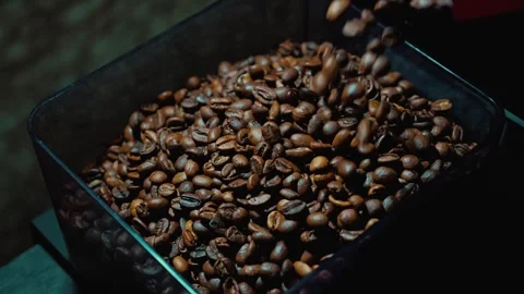 A close-up of freshly roasted coffee beans being poured into grinder Stock Footage 346471885