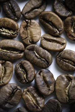 Close-up of freshly roasted coffee beans Stock Photos