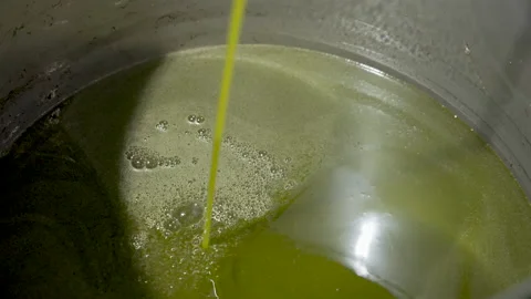 Close Up On freshly squeezed olive oil spills in factory 4K 60fps Stock Footage 219616825