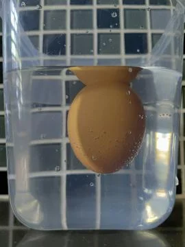 Close Up of Freshness Test with Brown Egg Floating in Water Plastic Container Stock Photos
