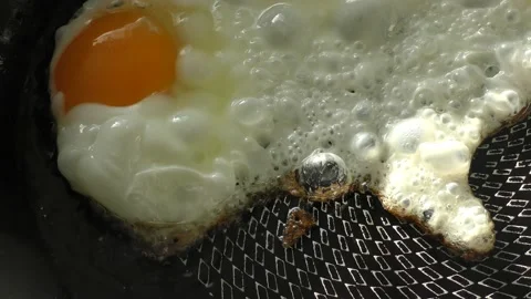 Close-up of fried eggs in a frying pan Video stock 164901016