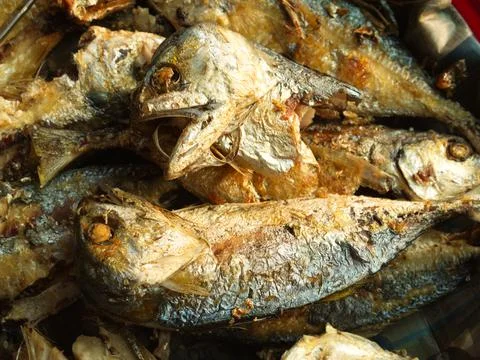 Close-up fried mackerel fish. The Most Popular fish menu in Thailand. Stock Photos