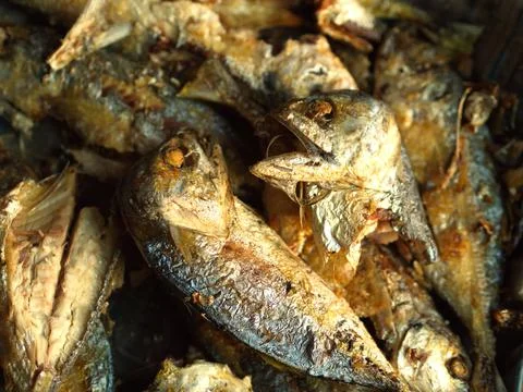 Close-up fried mackerel fish. The Most Popular fish menu in Thailand. Stock Photos