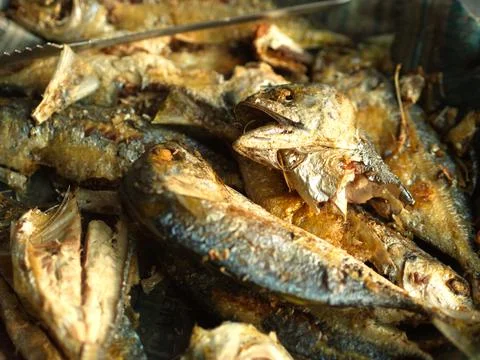 Close-up fried mackerel fish. The Most Popular fish menu in Thailand. Foto stock