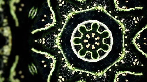 A close up of a frog 스톡 동영상 157874367