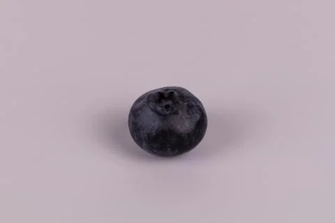 Close front view from above of one juicy blueberry on white background Stock Photos
