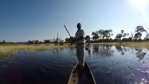 Close-up front view of poler steering a Mokoro   - traditional canoe in the Stock Footage 78198793