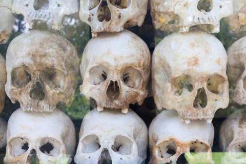 Close Front View of Skulls Wall behind glass in memorial camp in Cambodia Stock Photos