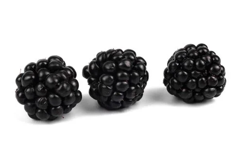 Close front view on three shiny black berries laying separetly Stock Photos