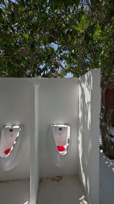 Close Up Front View of White Beach Resort Restroom Doors Vidéo 343723465