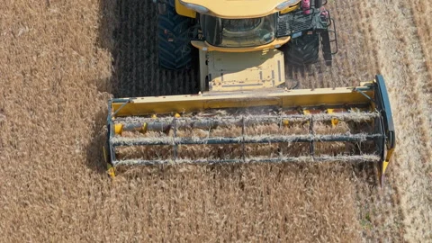 Close up front view Yellow combine harvester working in golden wheat field Stock Footage 312234436