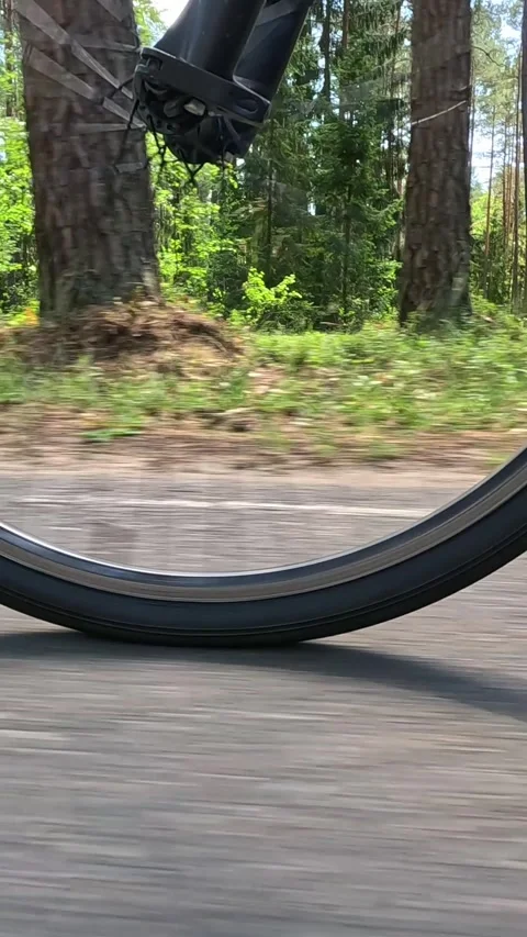 Close-up of the front wheel of a bicycle rolling along a forest path 스톡 동영상 340321513
