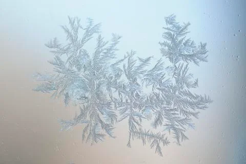 Close-up of Frost Stock Photos