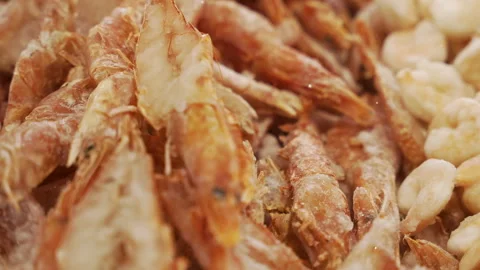 Close Up Frozen Shell On Prawns in Retail Food Store Bin Stock Footage 340048159