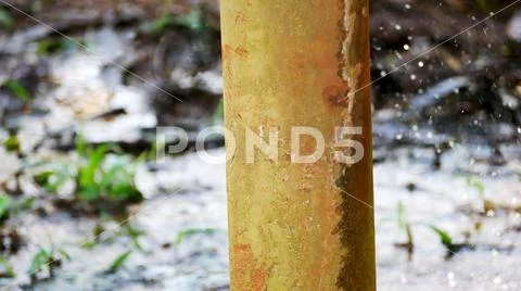 Close up of frozen water pile in winter Stock Photos