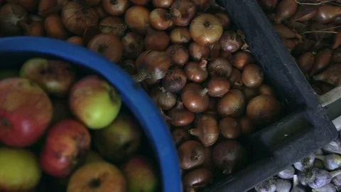 Close-up, Fruit and Vegetables Fruit Lies in Plastic Boxes Stock Footage 88197490