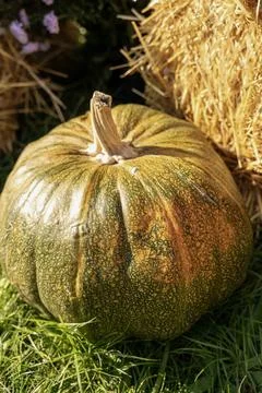 A close up of a fruit Foto stock