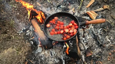 Close up of a frying pan with cherry tomatoes cooking over an open campfire. Stock Footage 334681051