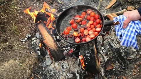 Close up of a frying pan with cherry tomatoes cooking over an open campfire. Stockbeeldmateriaal 334681108