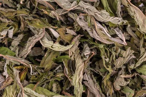 Close-up full frame macro background of natural dried mint leaves Stock Photos