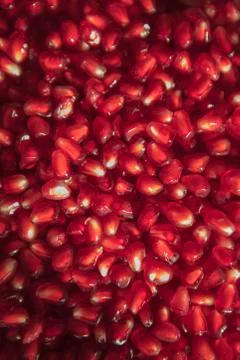 Close-up Full Frame Shot Of fresh and juicy Pomegranate Seeds Stock Photos