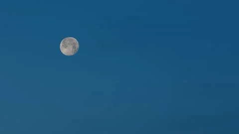 Close-up Full moon moving in the blue sky at sunrise. Stock-Footage 143920156