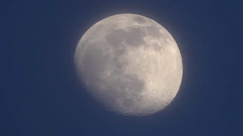Close up full moon rise Stock Footage 195430500