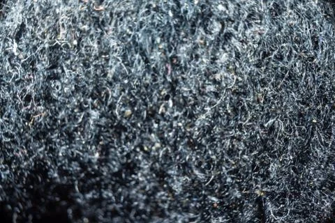 Close-up fullscreen macro with shallow depth of field for a hairy texture. Gr Stock Photos