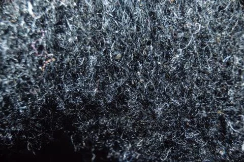 Close-up fullscreen macro with shallow depth of field for a hairy texture. Gr Stock Photos