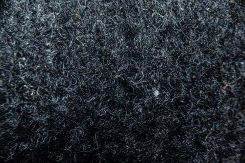 Close-up fullscreen macro with shallow depth of field for a hairy texture. Gr Stock Photos