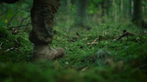 Close-up Fully Equipped Soldier's Boots Stepping on the Moss, Group Moves. Vidéo 82068305