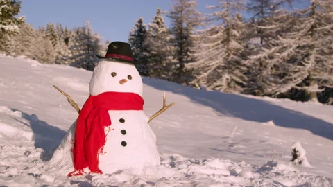 CLOSE UP: Funny snowman stands in the idyllic wintry countryside on a sunny day. Stock Footage 146869005