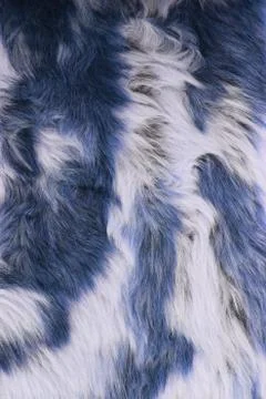 Close-up of fur background Stock Photos