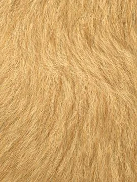 Close-up of fur Stock Photos