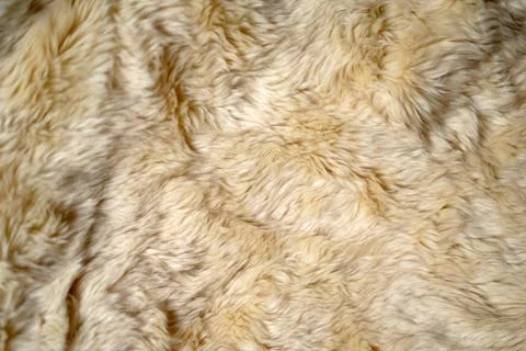 Close up of fur texture background Stock Photos