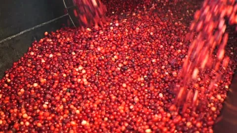 A close up of a game Video stock 131943875